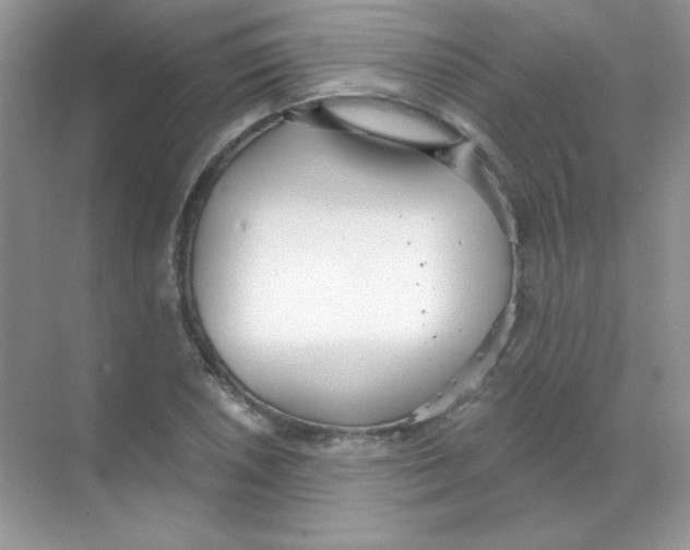 X0000068731026200605192314