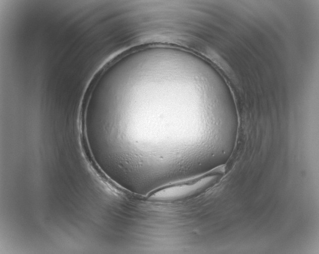 X0000068731028200605192314