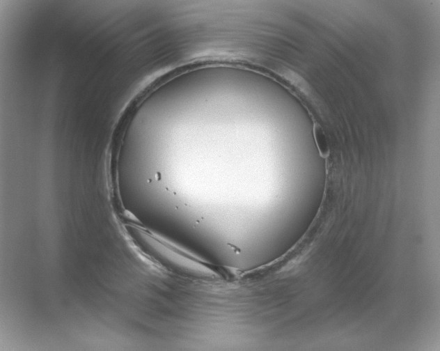 X0000068731030200605192314