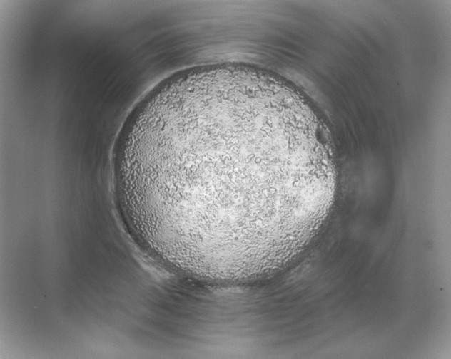 X0000068731031200605192314