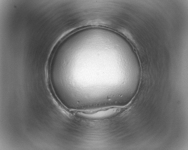 X0000068731032200605192314