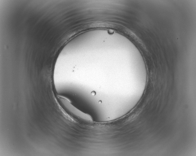 X0000068731033200605192314