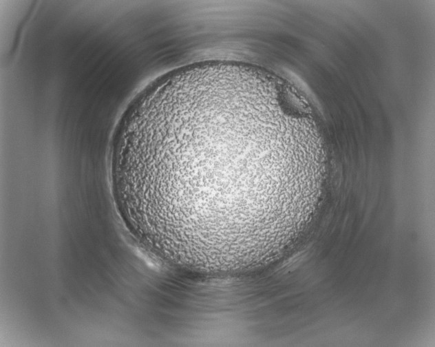 X0000068731035200605192314