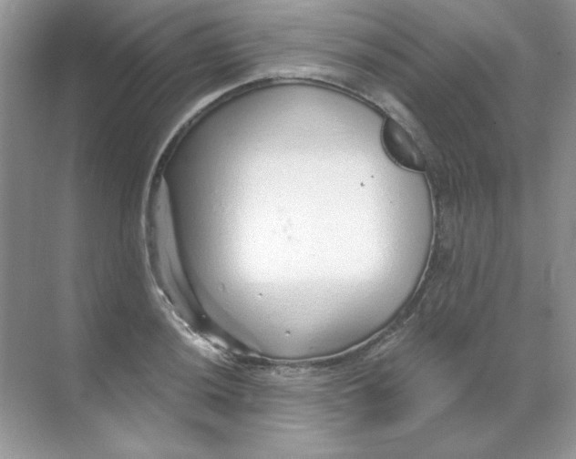 X0000068731036200605192314