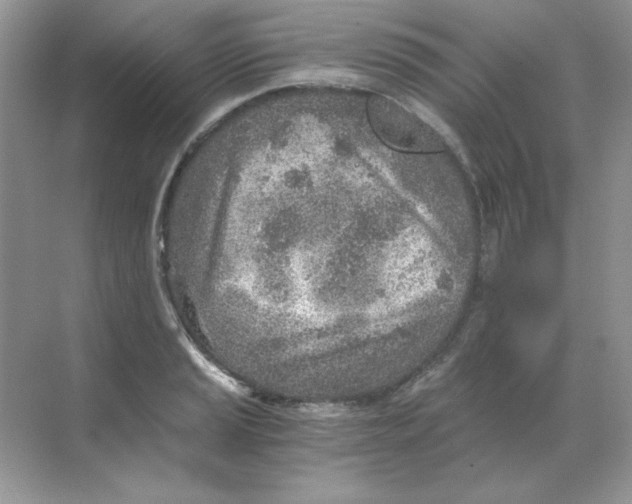 X0000068731037200605192314