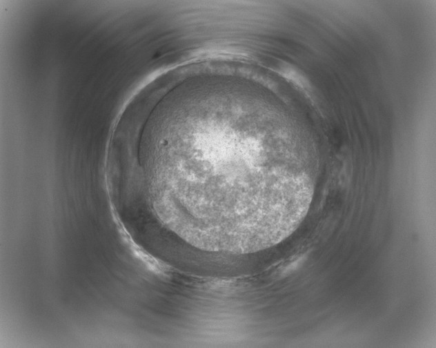 X0000068731038200605192314