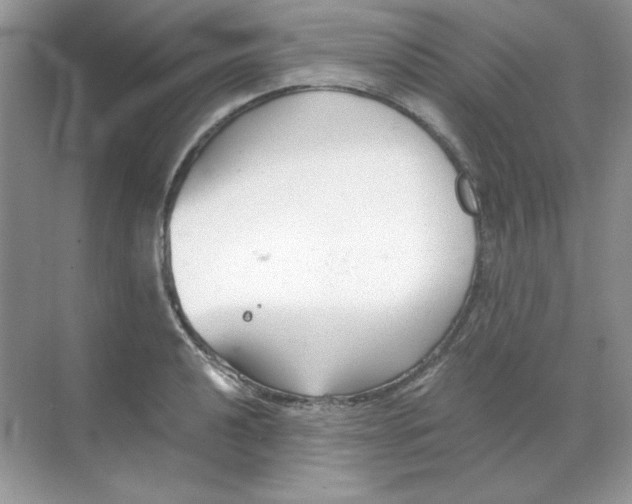 X0000068731040200605192314