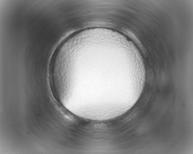 X0000068731043200605192314