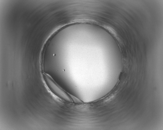 X0000068731046200605192314