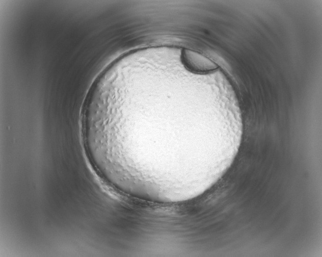 X0000068731047200605192314