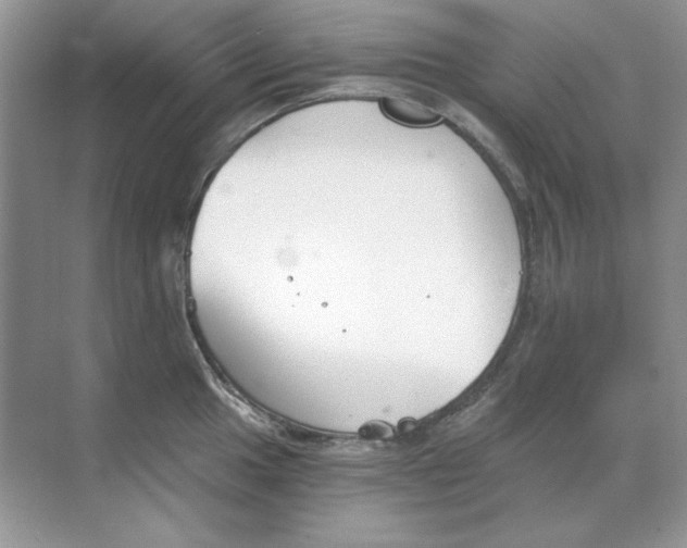 X0000068731049200605192314