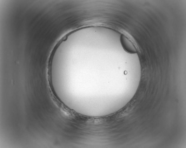 X0000068731051200605192314