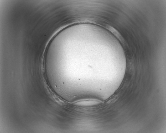 X0000068731052200605192314