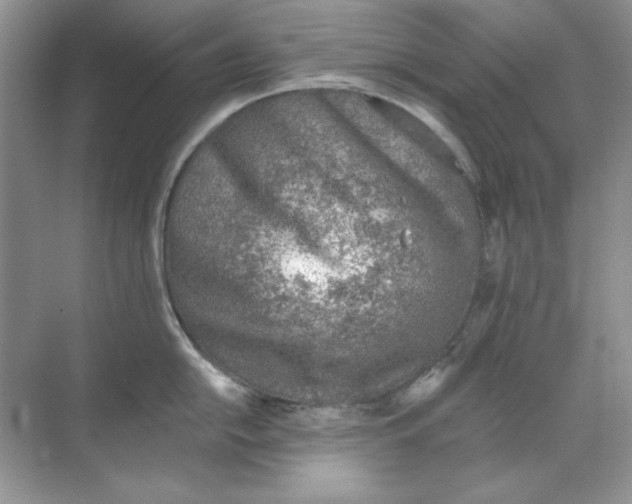 X0000068731054200605192314