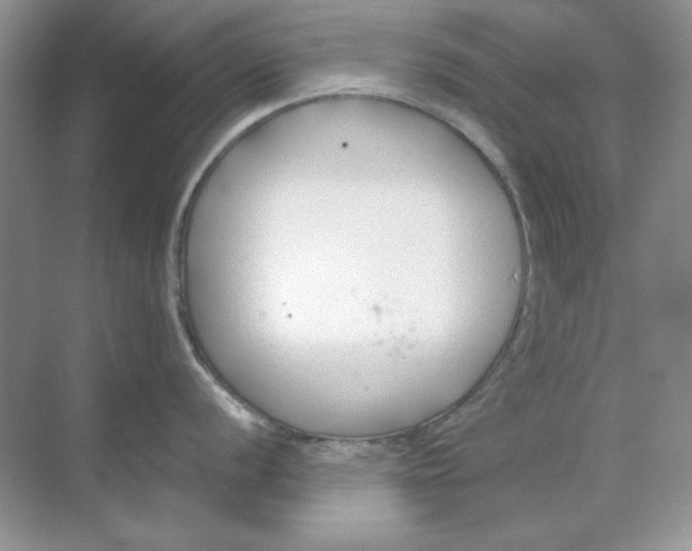 X0000068731056200605192314