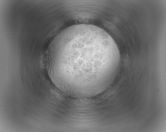 X0000068731060200605192313