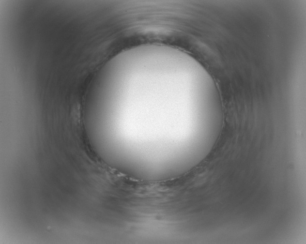 X0000068731061200605192313