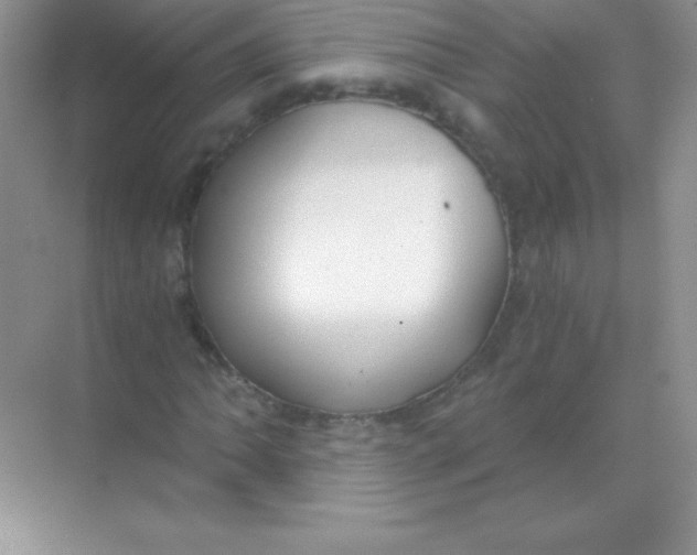 X0000068731062200605192313