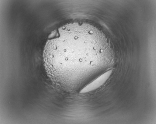 X0000068731063200605192313