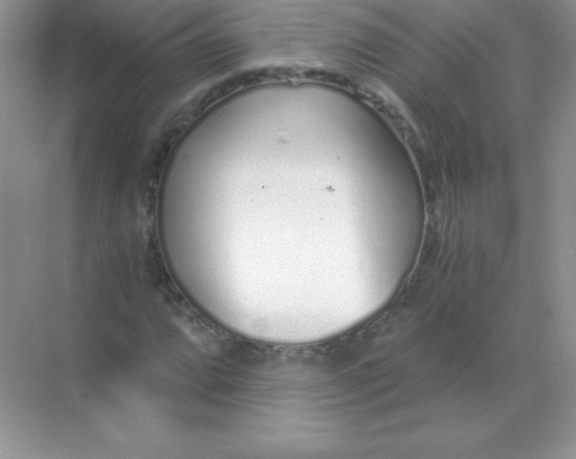 X0000068731064200605192313