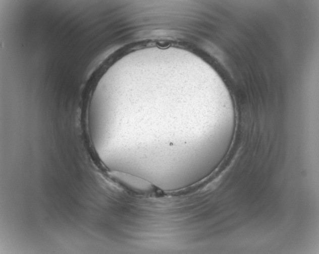 X0000068731066200605192313