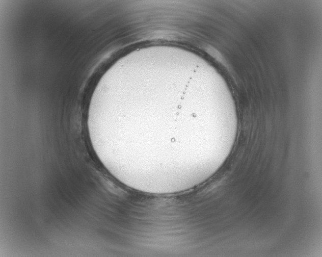 X0000068731067200605192313