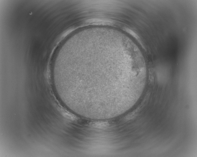 X0000068731074200605192313