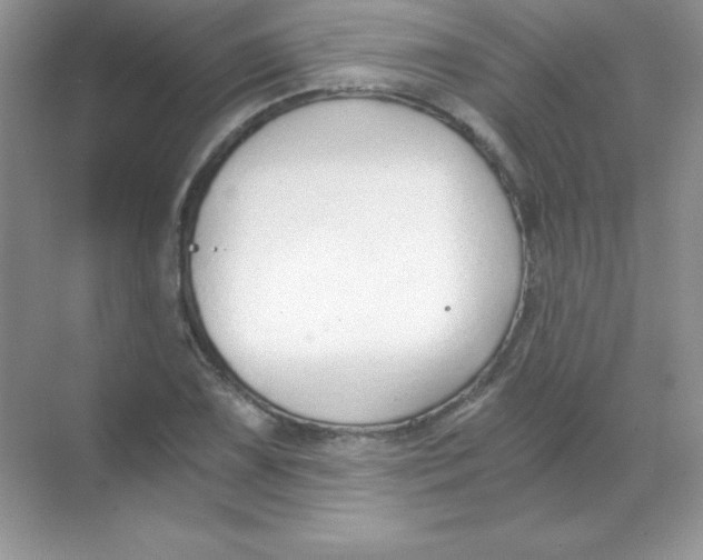 X0000068731075200605192313