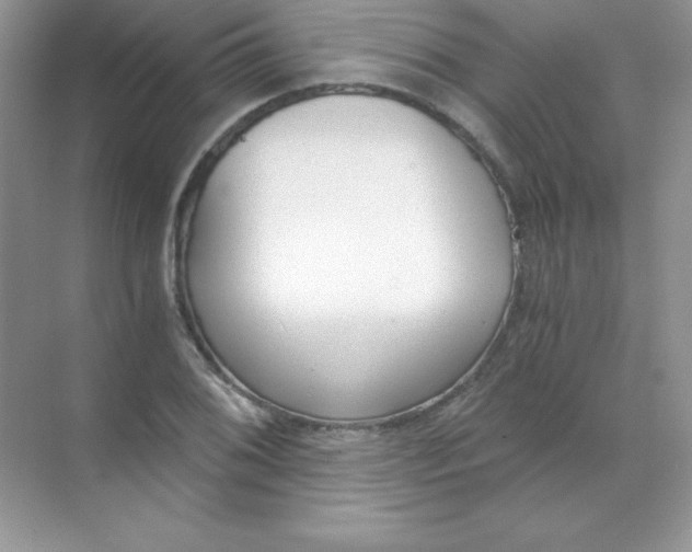 X0000068731076200605192313