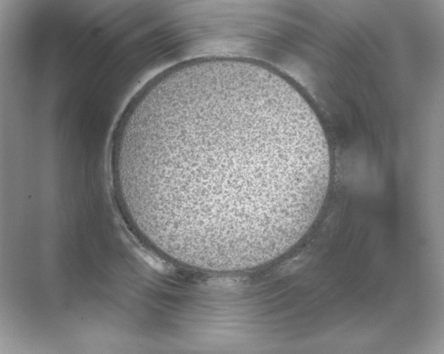 X0000068731078200605192313