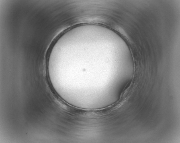 X0000068731079200605192313