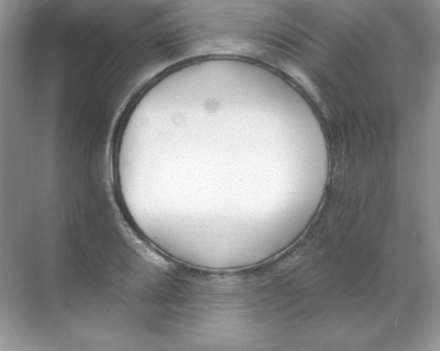 X0000068731080200605192313