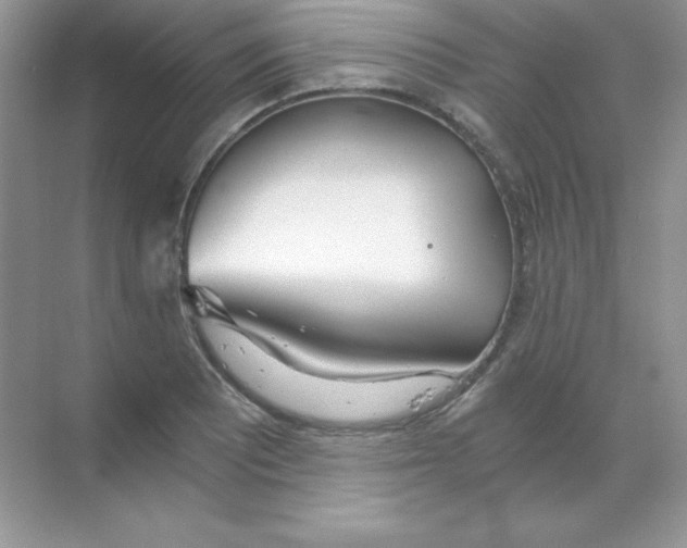 X0000068731081200605192313