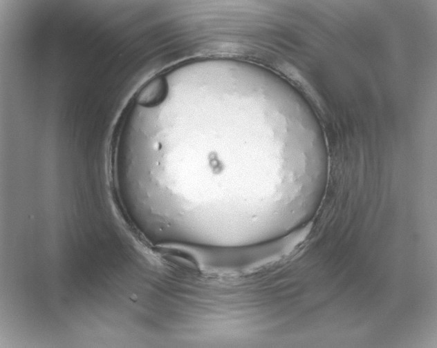 X0000068731083200605192313