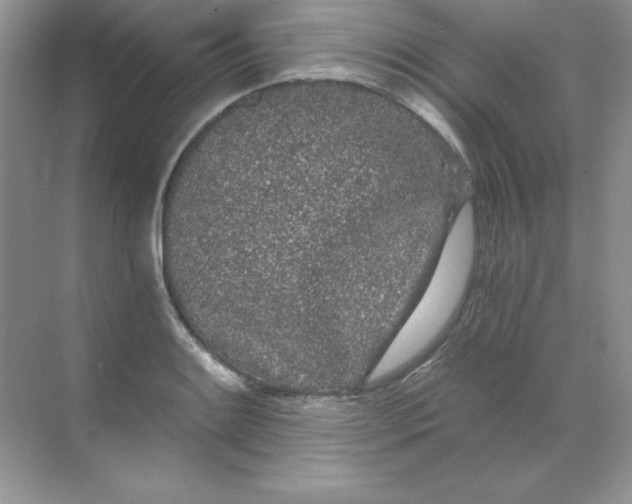 X0000068731084200605192313