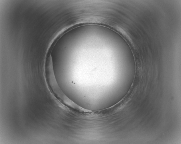 X0000068731085200605192313