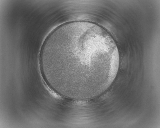 X0000068731086200605192313