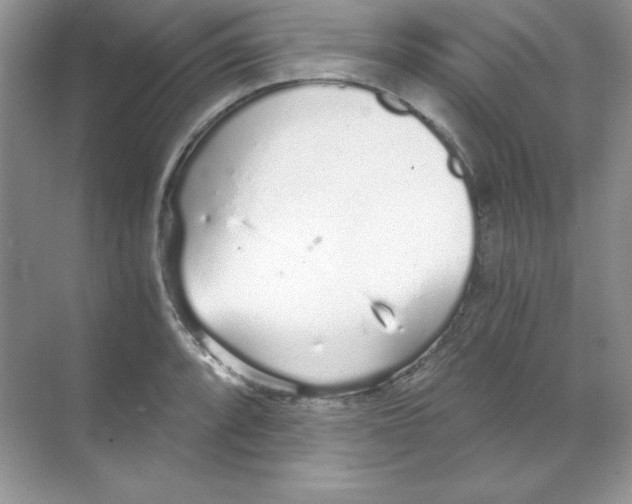 X0000068731088200605192313