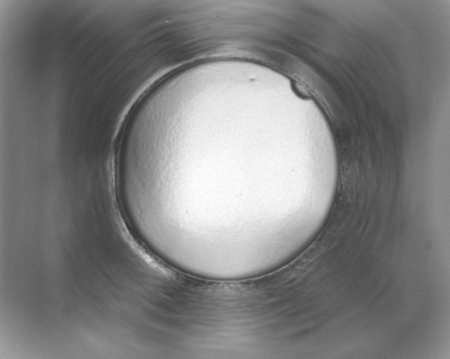 X0000068731092200605192313