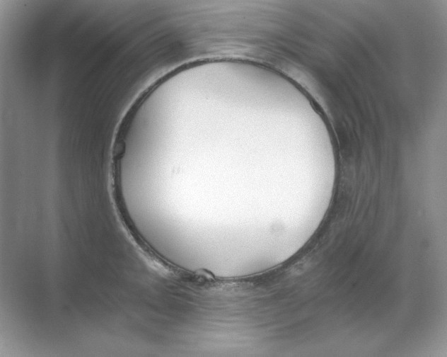 X0000068731093200605192313