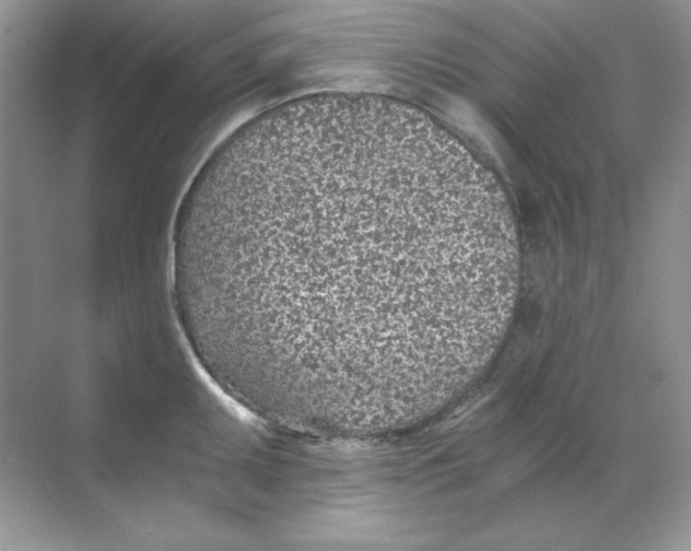 X0000068731095200605192313