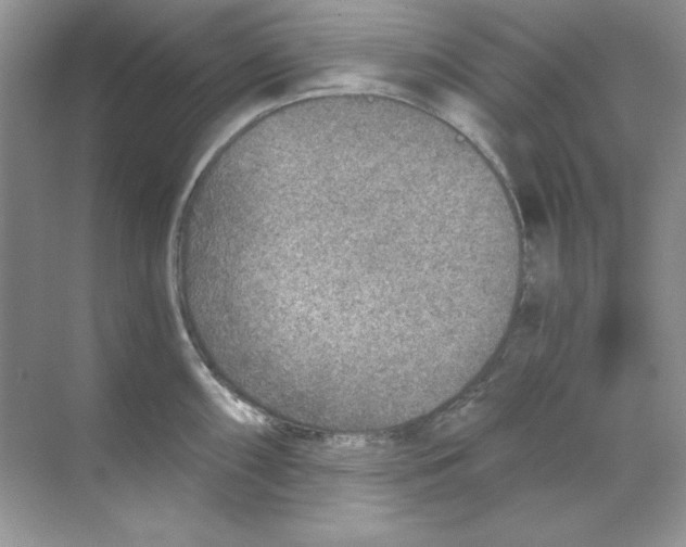 X0000068731098200605192313