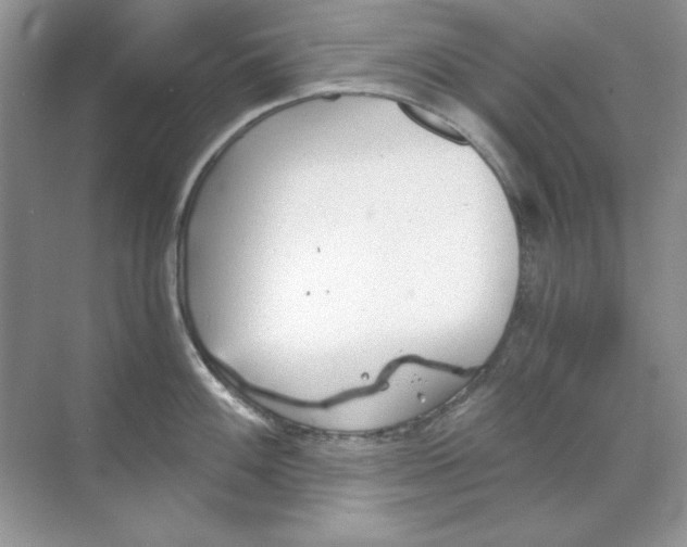 X0000068731100200605192313