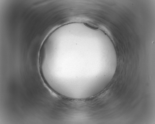 X0000068731103200605192312