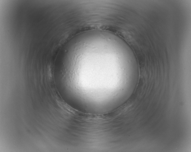 X0000068731106200605192312