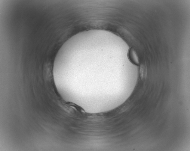 X0000068731107200605192312