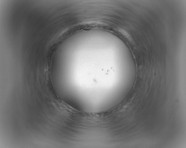 X0000068731111200605192312