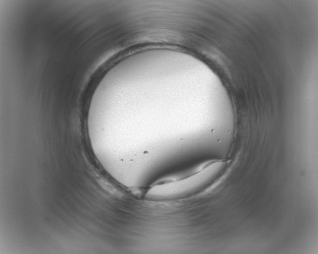 X0000068731114200605192312