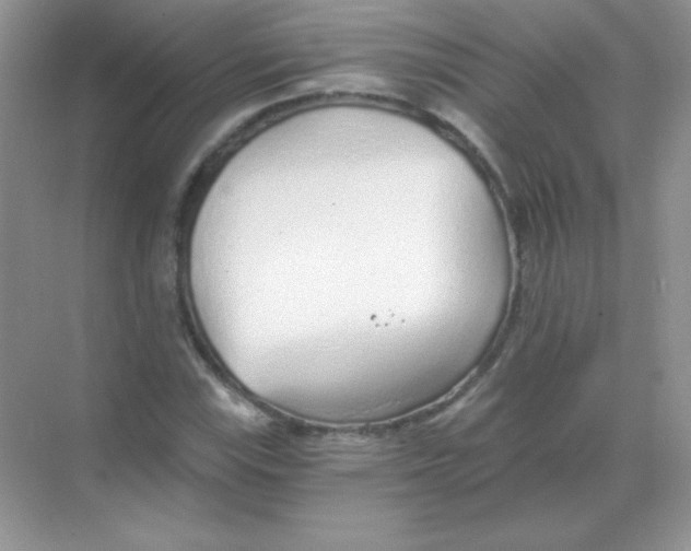 X0000068731115200605192312