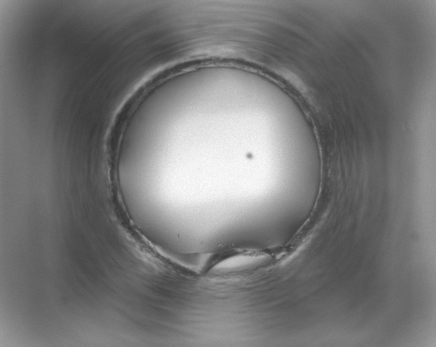 X0000068731118200605192312